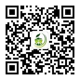 福建安溪品茶人微信公众号