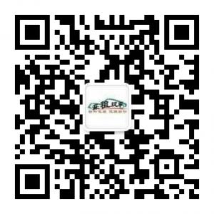 乐租玩车专业练车陪练微信公众号