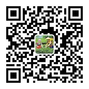 恩施富硒茶叶微信公众号
