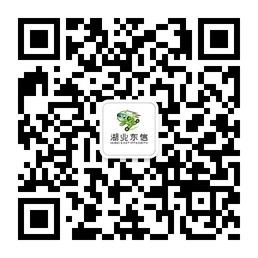 湖北东信汽车文化管理咨询微信公众号