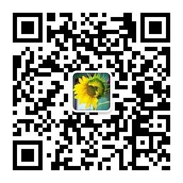 Imbizo团体微信公众号