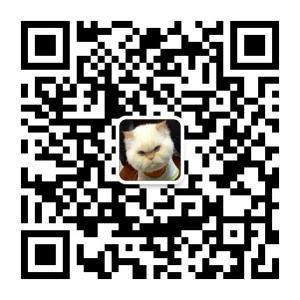 DoggyKitty微信公众号
