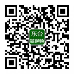 东台微视频微信公众号