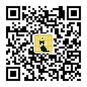 每日一撸猫微信公众号