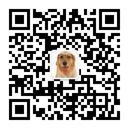 年青人你这是要搞微信公众号