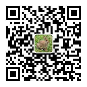 杂交野兔种兔野兔价格微信公众号