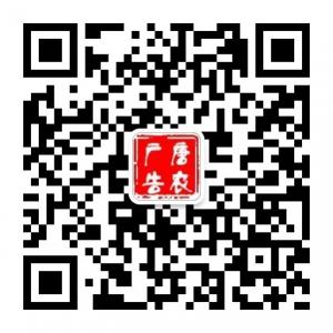 唐农广告传媒微信公众号