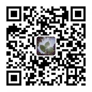 摆渡人记录片创作微信公众号