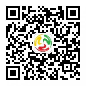 极速查询技术团队微信公众号