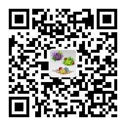 多肉植物百科全书微信公众号