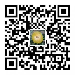 四川蜂糖李苗木基微信公众号