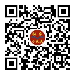 枫雪小说城微信公众号