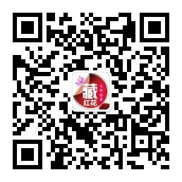 <b>藏红花百科全书</b>微信公众号