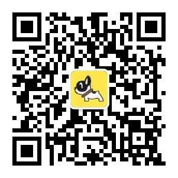 斗牛犬日记微信公众号