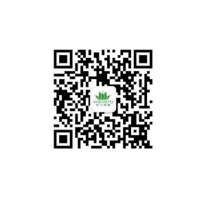 中国如今康健微信公众号